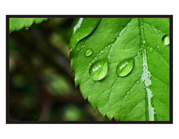 26�繤ҵҺ��������